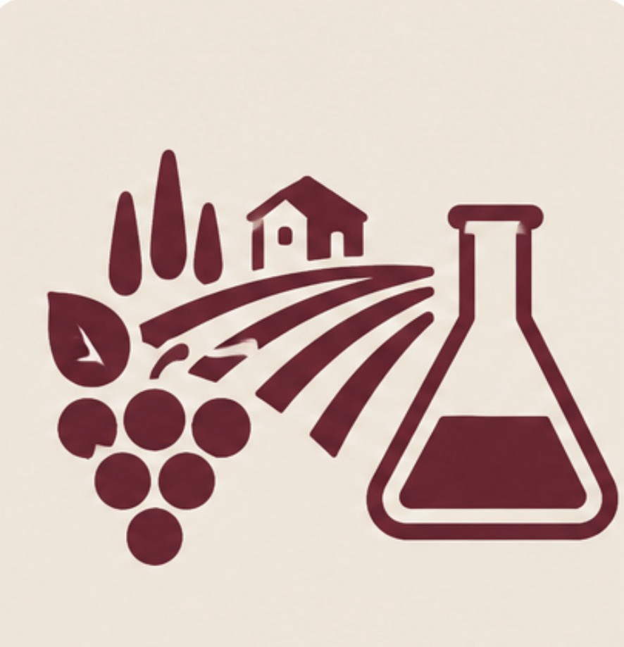 Vignoble ou travail technique autour du vin